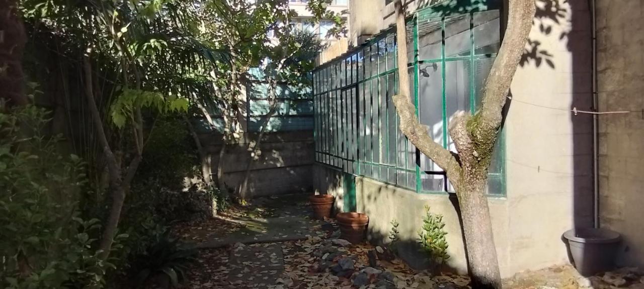 74, Chez Moune Et Mabo Carcassonne Zewnętrze zdjęcie